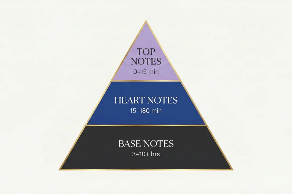 What is perfume pyramid infographic top heart base notes brand colors