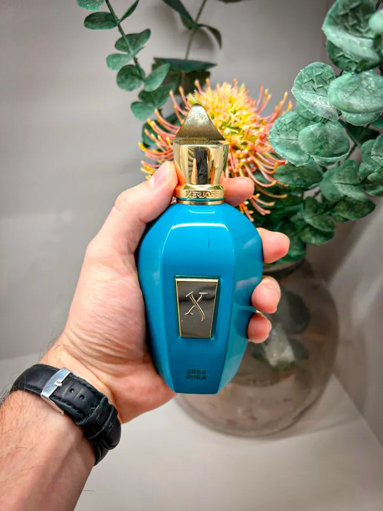 A luxurious Erba Pura by Xerjoff perfume bottle held in hand, showcasing its elegant turquoise blue design with gold accents. The fragrance bottle is positioned against a backdrop of green foliage and an exotic orange flower, highlighting its fresh, fruity, and musky scent profile. Ideal for lovers of luxury niche perfumes, Xerjoff fragrances, and long-lasting fruity perfumes.