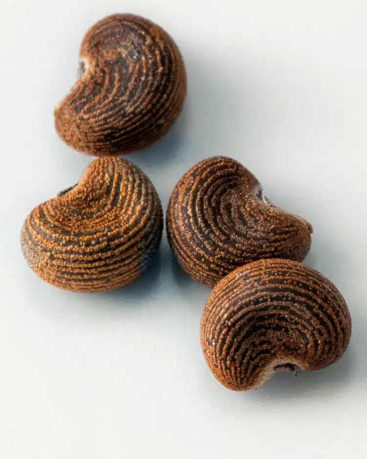 Abrette Seed Peru. The main ingredient in Matiere Premiere Parisian Musc.