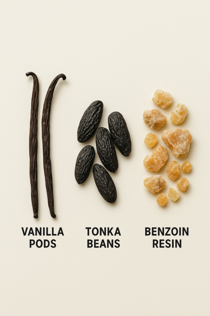 Vanilla pods, tonka beans, and benzoin resin compared side by side.