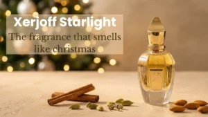 Starlight by Xerjoff bottle with cinnamon, cardamom and almonds on a warm beige surface with soft festive lights