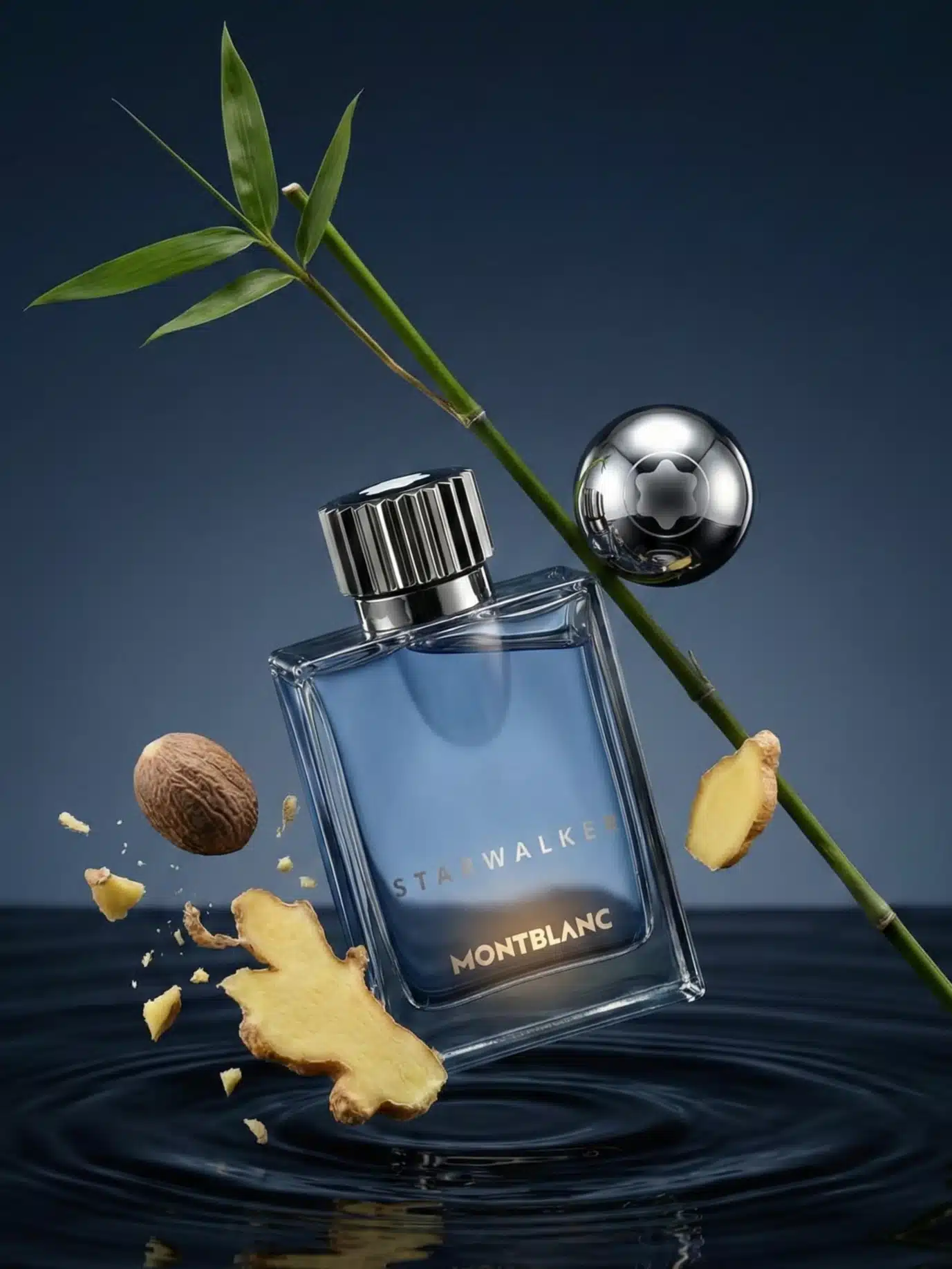 Montblanc Starwalker